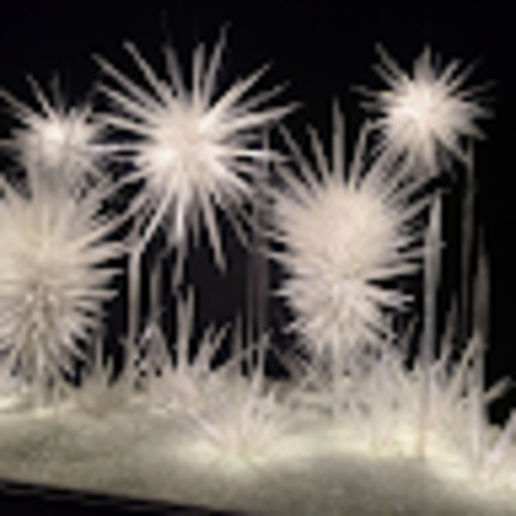 Meet your Posher, Jacquelyn - Picture 1 of 1